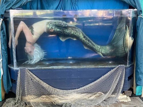 Joune in the Circus Siren Pod's mobile mermaid tank Big Blue